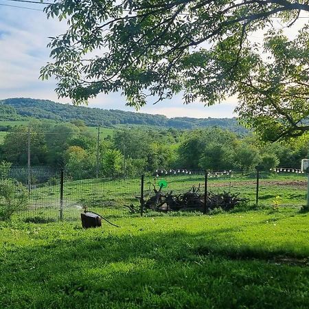 Вила "Намасте" С Панорамна Гледка И Камина На Дърва Lovech Dış mekan fotoğraf